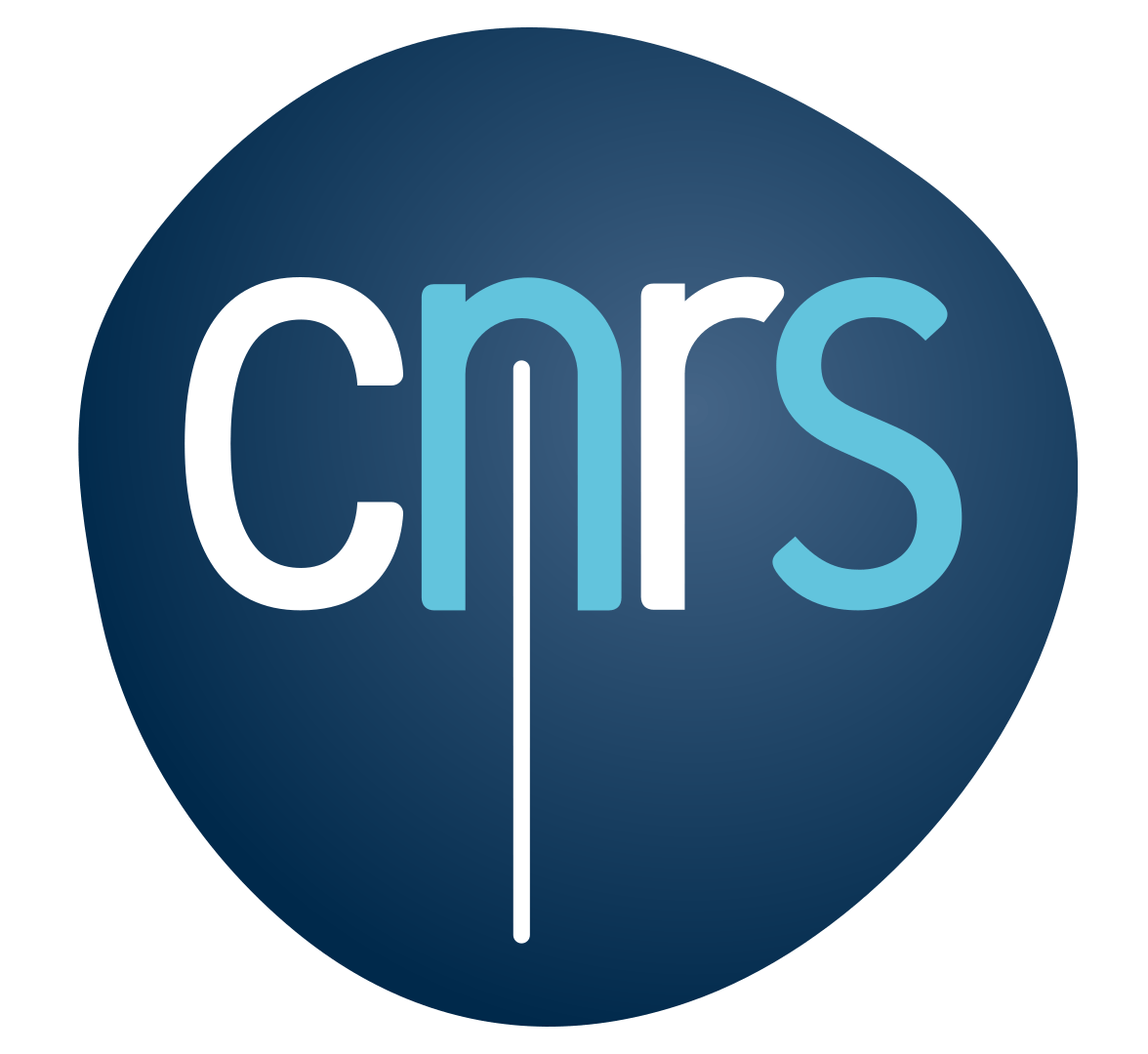 CNRS Logo